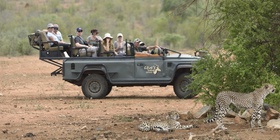 Safari adventures
